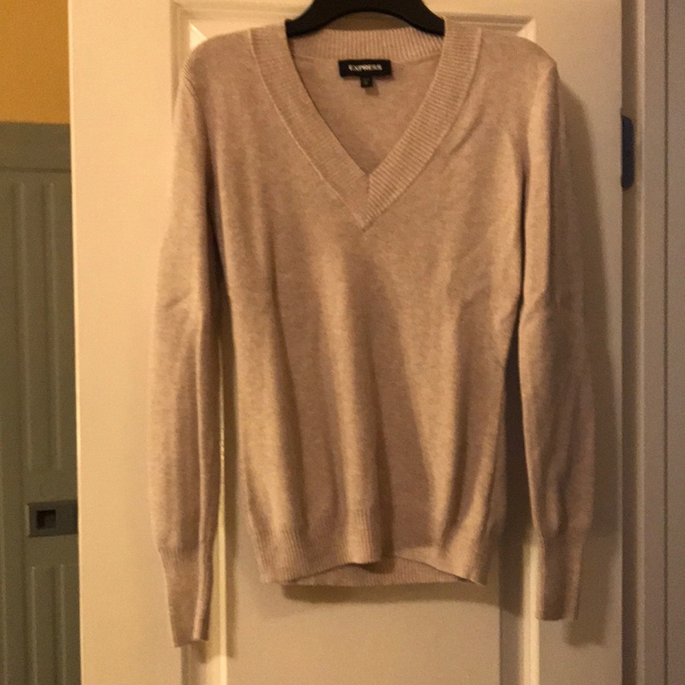 Express v neck sweater